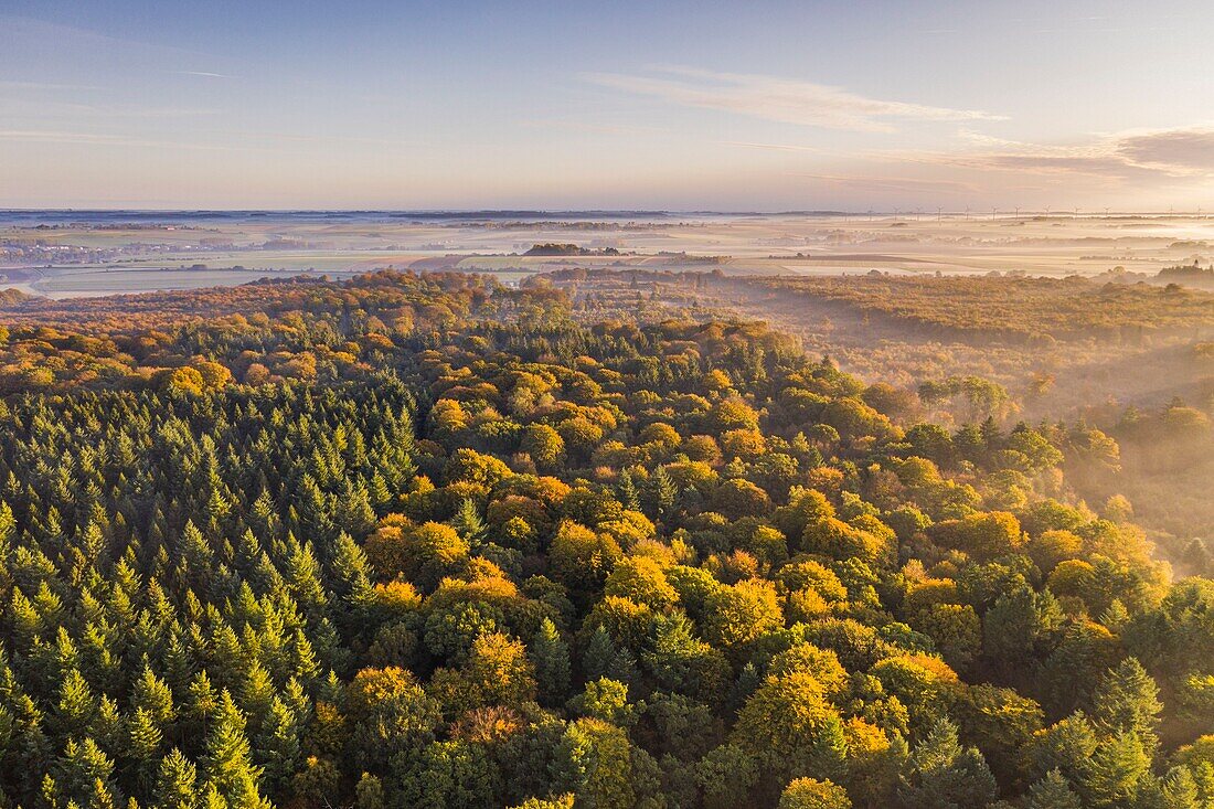Frankreich, Somme, Crécy-en-Ponthieu, Der Wald von Crécy taucht im Herbst aus dem Morgennebel auf (Luftaufnahme)