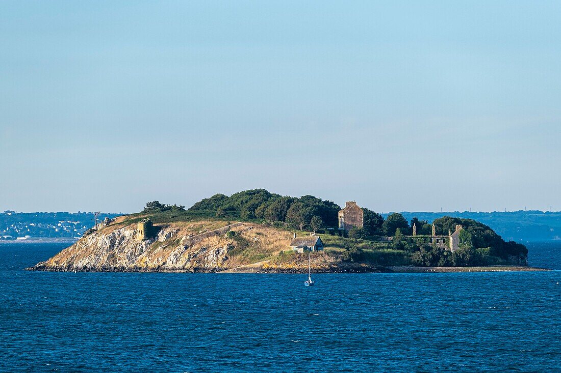 France, Finistere, Armorica Regional Natural Park, Crozon Peninsula, Bay of Brest, Treberon island\n