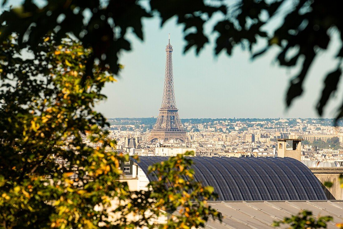 France, Paris, general view with the Eiffel Tower\n