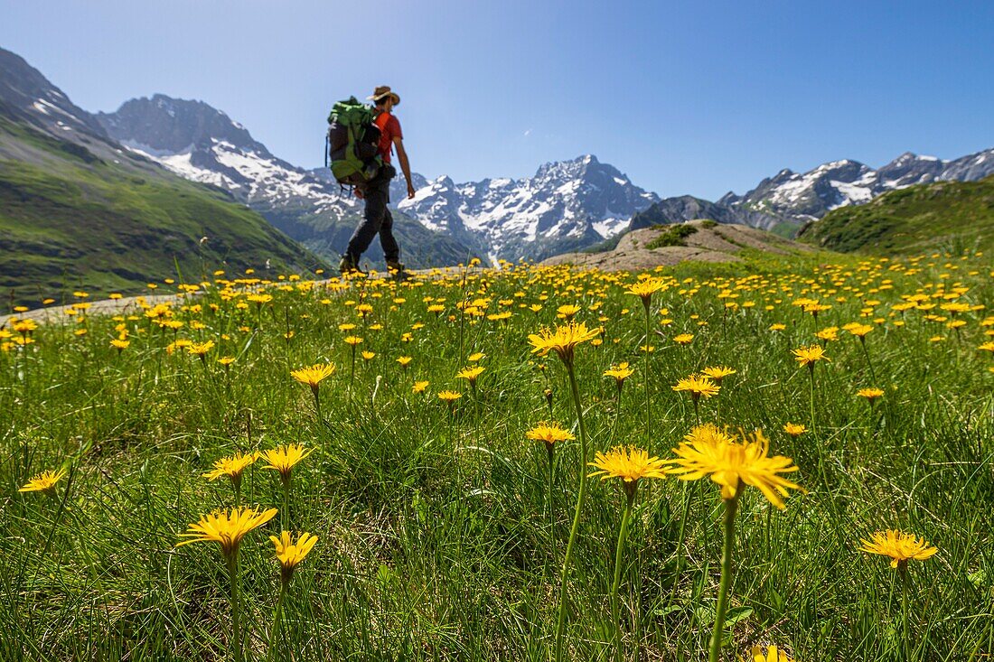 Frankreich, Hautes Alpes, Nationalpark Ecrins, Tal von Valgaudemar, La Chapelle en Valgaudemar, Gletscherzirkus von Gioberney, Wanderung zum Lauzon-See, der Sirac (3441m) am Fuß