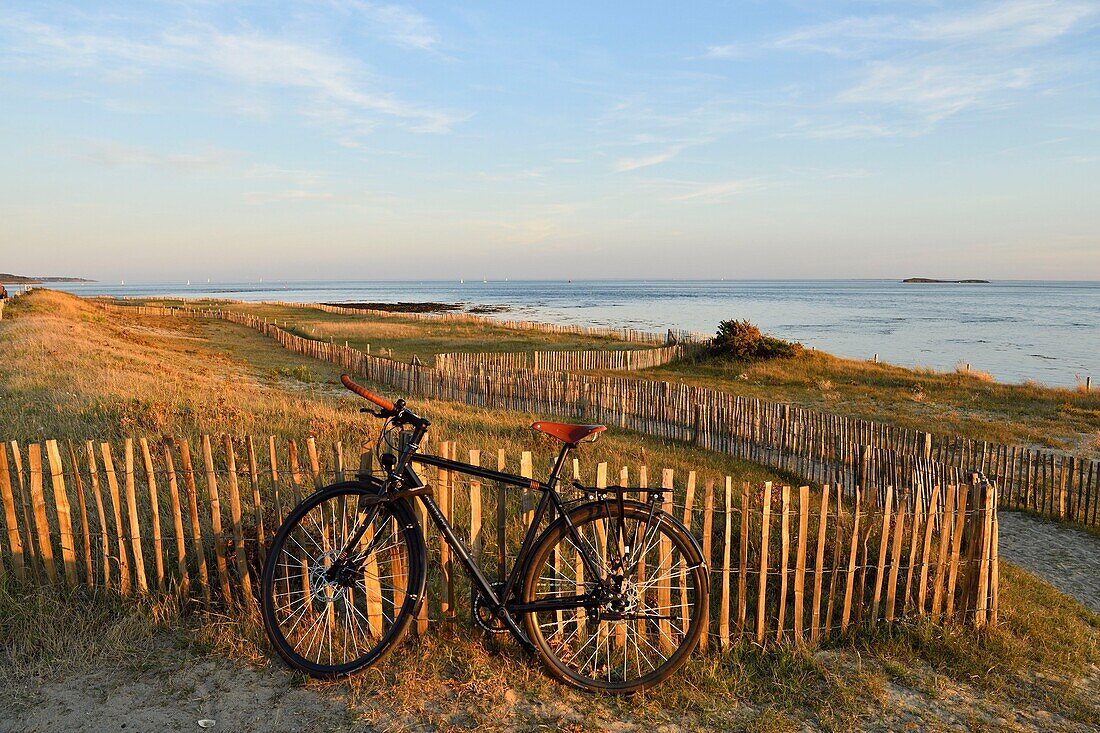 France, Morbihan, Gulf of Morbihan, Regional Natural Park of the Gulf of Morbihan, Locmariaquer, Kerpenhir Point, the beach\n