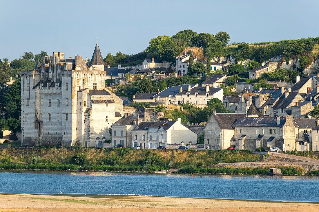 Frankreich, Maine-et-Loire, Loire-Tal, von der UNESCO zum Weltkulturerbe erklärt, Montsoreau, ausgezeichnet mit dem Titel Les Plus Beaux Villages de France (Die schönsten Dörfer Frankreichs), Schloss Montsoreau am Ufer der Loire
