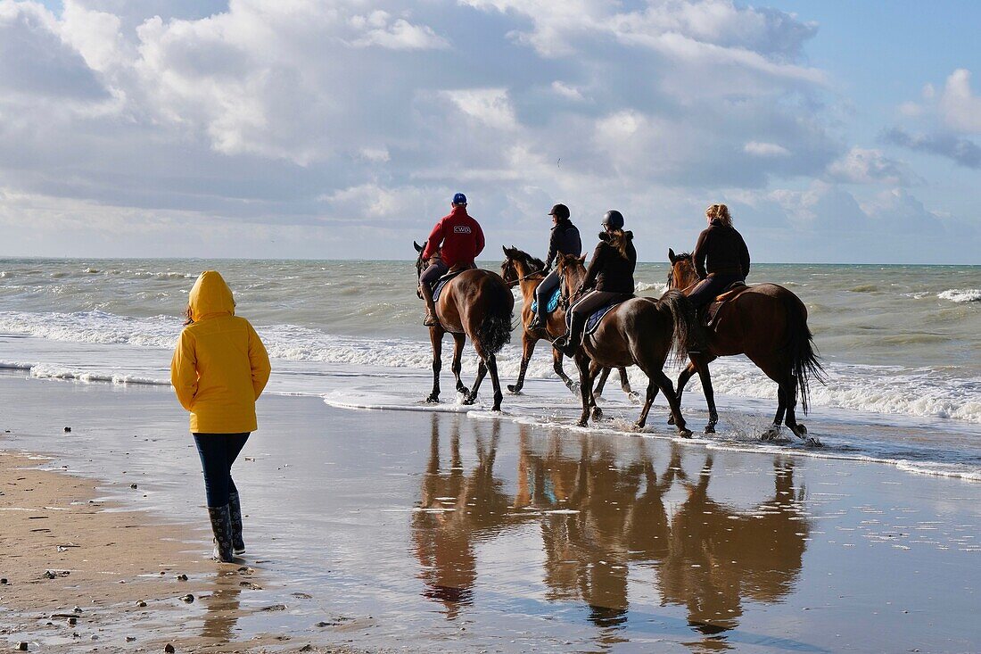 France, Calvados, Pays d'Auge, Deauville, the beach, horseback riding along the sea\n