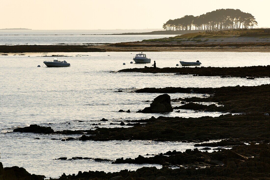 Frankreich, Morbihan, Golf von Morbihan, Regionaler Naturpark des Golfs von Morbihan, Locmariaquer, Kerpenhir Point, der Strand