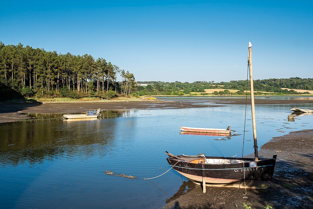 France, Finistere, Aven Country, Nevez, the banks of the Aven river\n