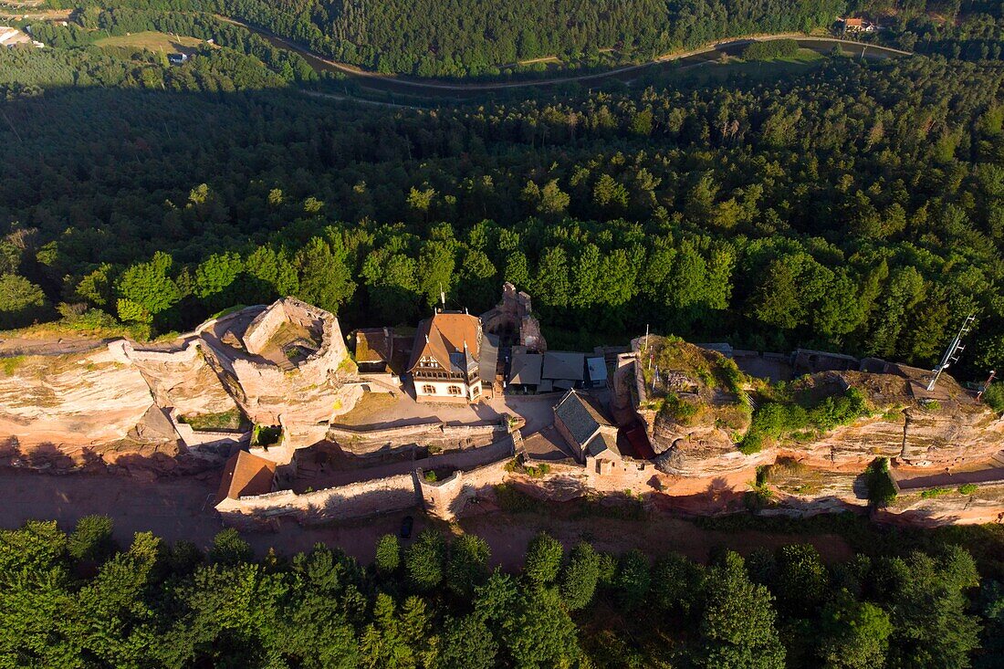Frankreich, Bas Rhin, Saverne, Burg Haut Barr aus dem 11. bis 14. Jahrhundert (Luftaufnahme)