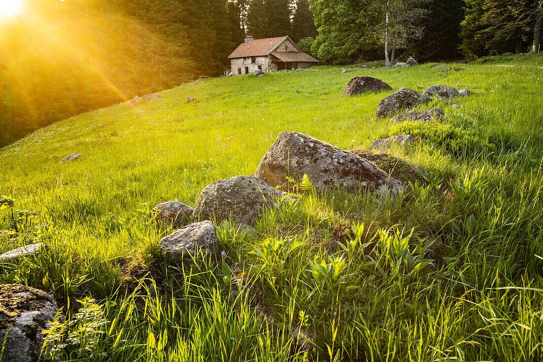 France, Puy de Dome, Saint Pierre la Bourlhonne, Natural regional park of Livradois Forez, valley of Fossat, Chez Lire\n