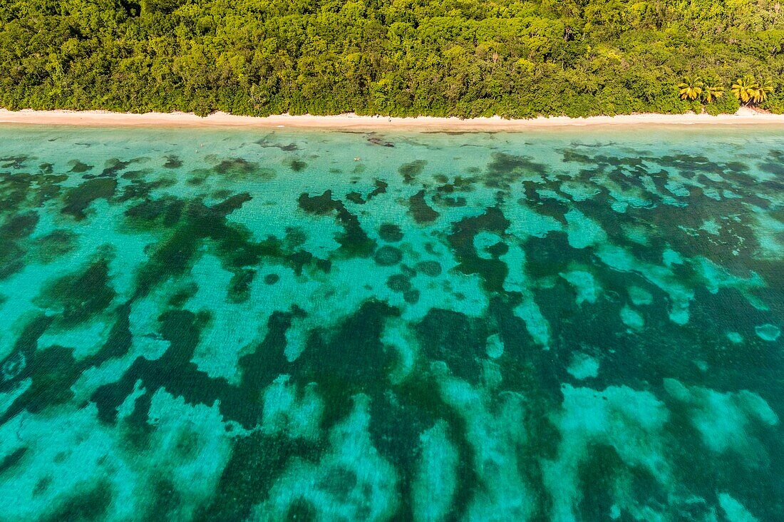 France, Caribbean, Lesser Antilles, Guadeloupe, Guadeloupe, Marie-Galante, St. Louis, Cambou Cove, Moustique Beach, aerial view\n