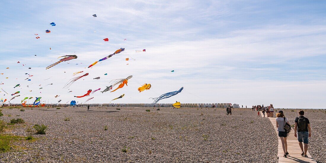 Frankreich, Somme, Bucht der Somme, Cayeux-sur-mer, Das einmal im Jahr stattfindende Drachenfest auf dem Kieseldeich und der mit Strandhütten gesäumte Weg der Bretter