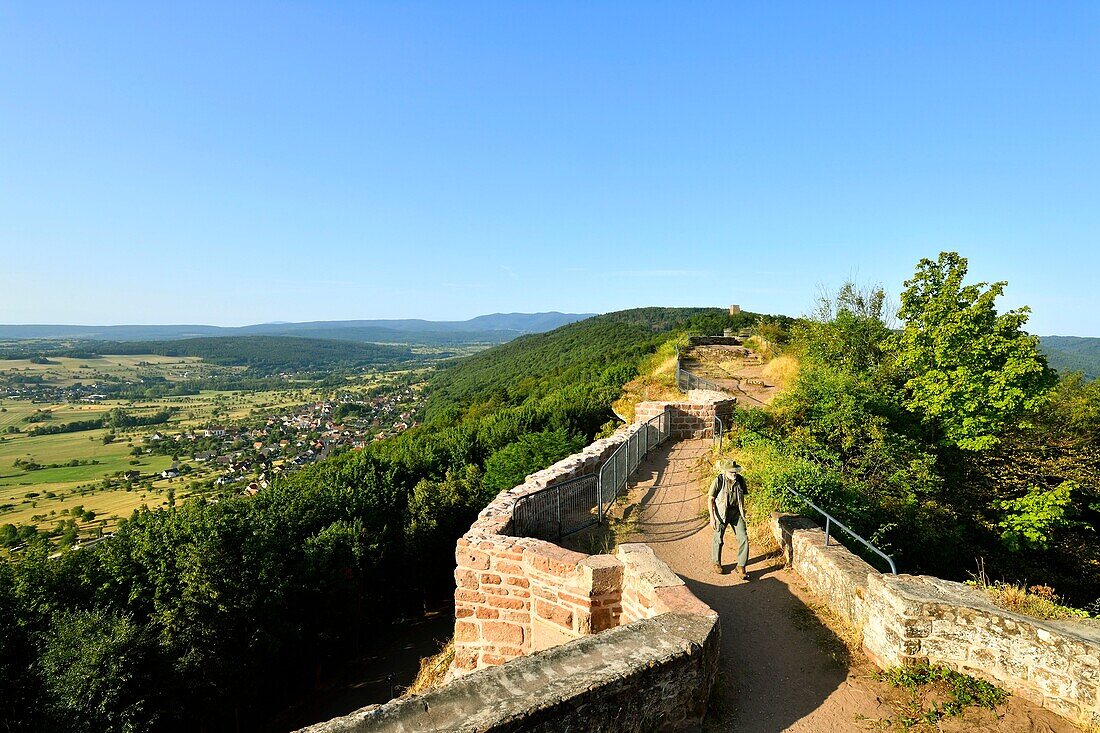 Frankreich, Bas Rhin, Saverne, Burg Haut Barr aus dem 11. bis 14.