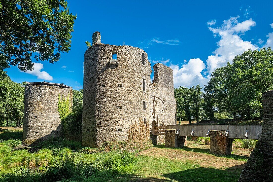 France, Loire-Atlantique, Briere Regional Natural Park, Herbignac, Ranrouet medieval castle\n