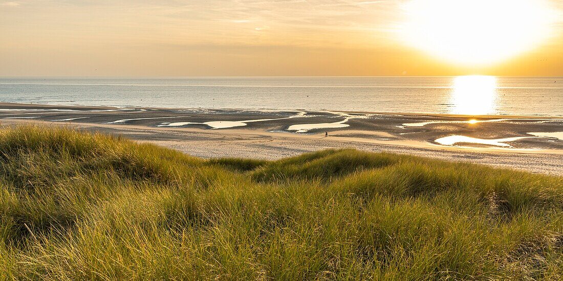 Frankreich, Somme, Fort-Mahon, Die Dünen zwischen Fort-Mahon und der Bucht von Authie bei Sonnenuntergang