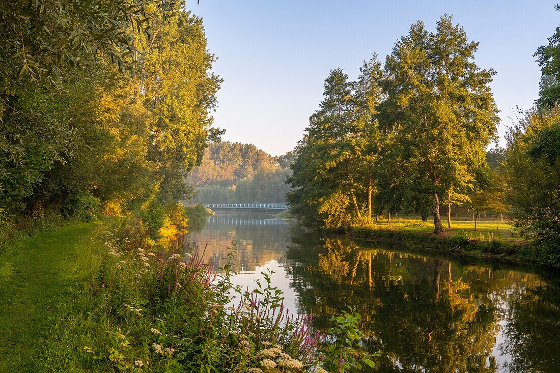 France, Somme, Valley of the Somme, Long, the banks of the Somme in the early morning, along the river\n