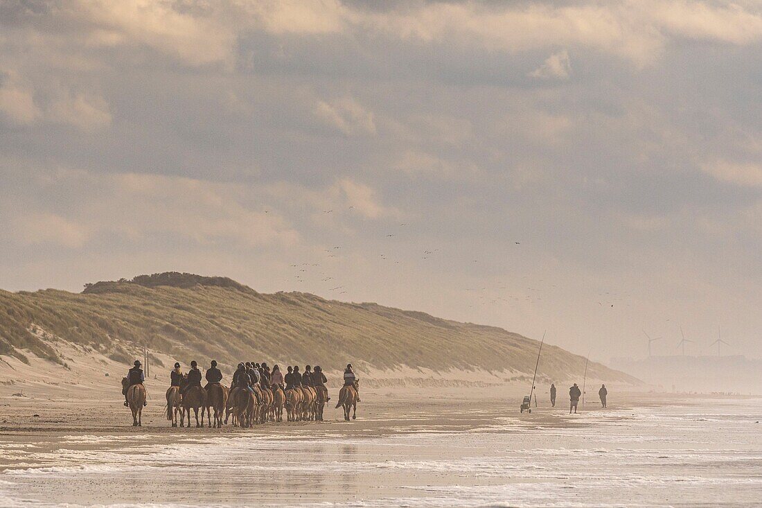 Frankreich, Somme, Quend-Plage, Reitertruppe und ihre Pferde Henson am Strand
