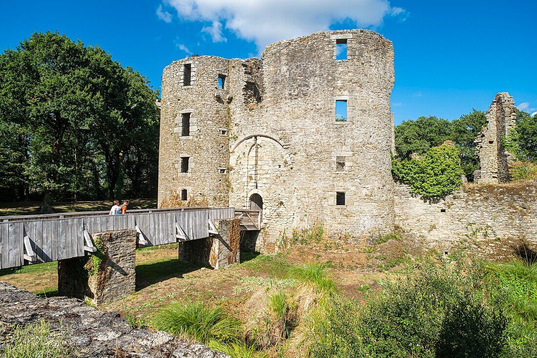 France, Loire-Atlantique, Briere Regional Natural Park, Herbignac, Ranrouet medieval castle\n