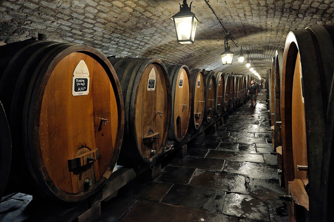 France, Bas Rhin, Strasbourg, Place de l'Hopital, Historic Cave of the Hospices de Strasbourg, the gallery of thunders\n