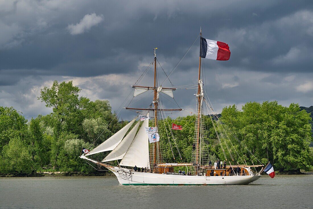 France, Seine Maritime, Rouen Armada, the Armada of Rouen 2019 on the Seine, the Etoile, two-masted schooner with wooden hull\n