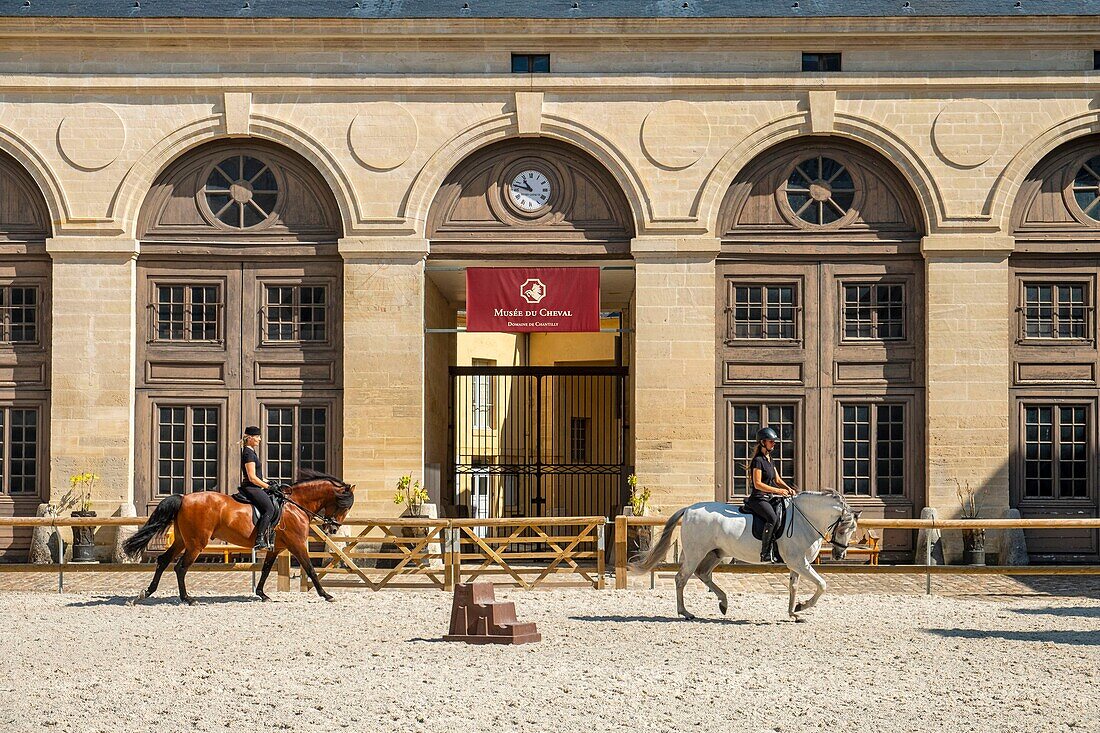 France, Oise, Chantilly, Chantilly Castle, the Great Stables, training horses in the carousel\n