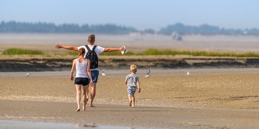 Frankreich, Somme, Somme-Bucht, Naturschutzgebiet der Somme-Bucht, Le Crotoy, Strände der Maye, Spaziergänger in der Somme-Bucht bei Ebbe