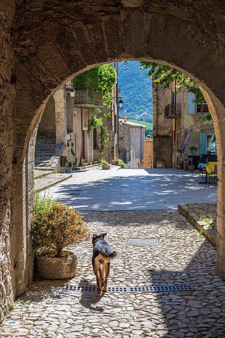 France, Drôme, regional natural park of Baronnies provençales, Montbrun-les-Bains, labeled the Most Beautiful Villages of France, the porch and the place of the Belfry\n