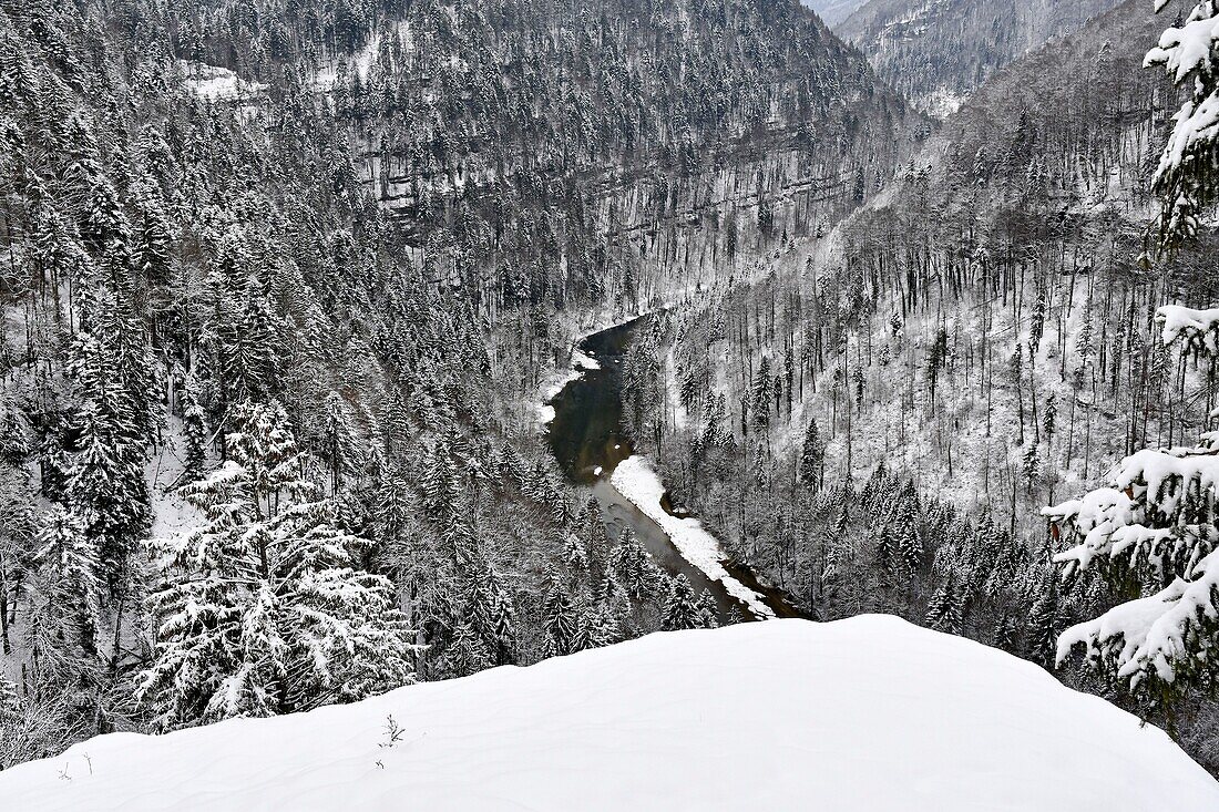 Frankreich, Doubs, Goumois, Doubs-Tal, Haut Doubs, Schweizer Grenze, Winter, verschneite Landschaft, Tannenbäume