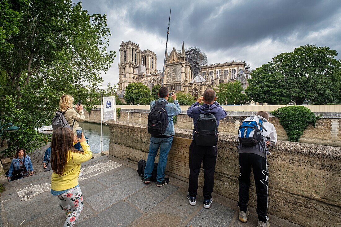 Frankreich, Paris, Ufer der Seine, UNESCO-Weltkulturerbe, Ile de la Cité, Kathedrale Notre-Dame nach dem Brand vom 15. April 2019