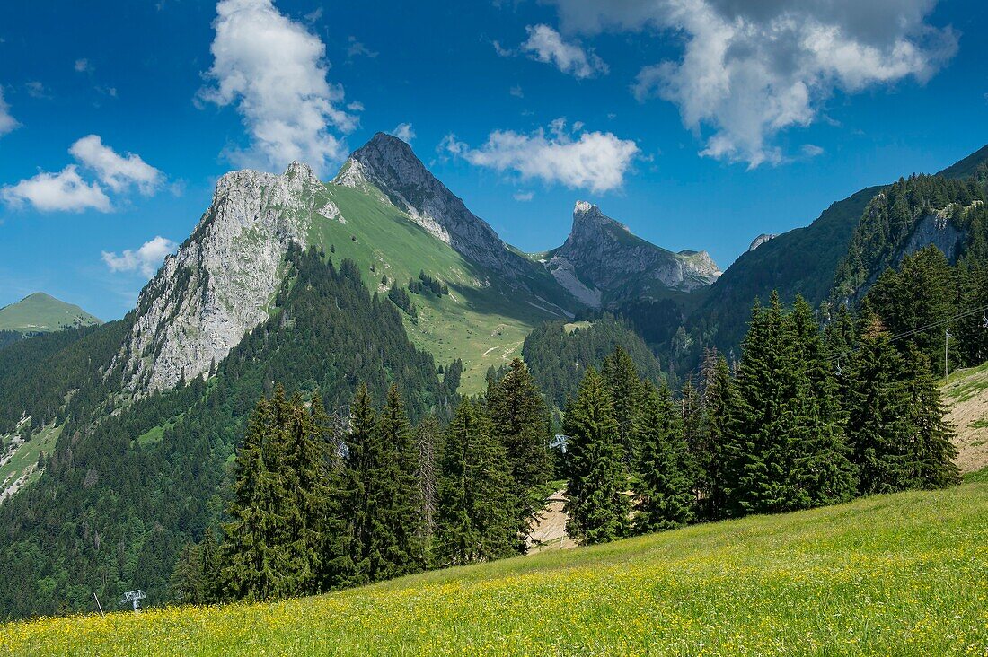 France, Haute Savoie, massif of Chablais, Bernex, the Oche and the Oche from the meadow Richard\n