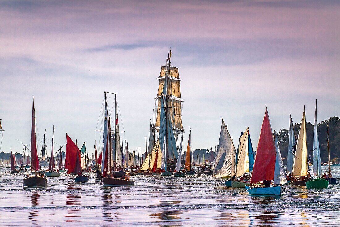 France, Morbihan, Gulf of Morbihan, Baden, big parade of old rigs in the Gulf of Morbihan, Gulf Week, 2019 edition\n