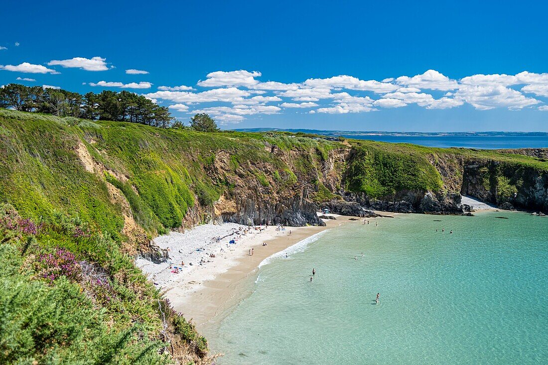 France, Finistere, Armorica Regional Natural Park, Crozon Peninsula, Telgruc-sur-Mer, Trez Bihan Bay\n