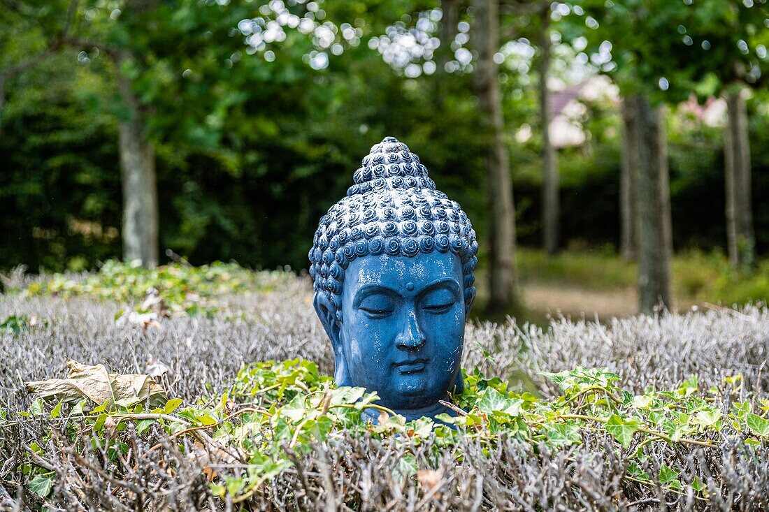 France, Yvelines (78), Montfort-l'Amaury, Groussay castle, Buddha's head in the gardens\n