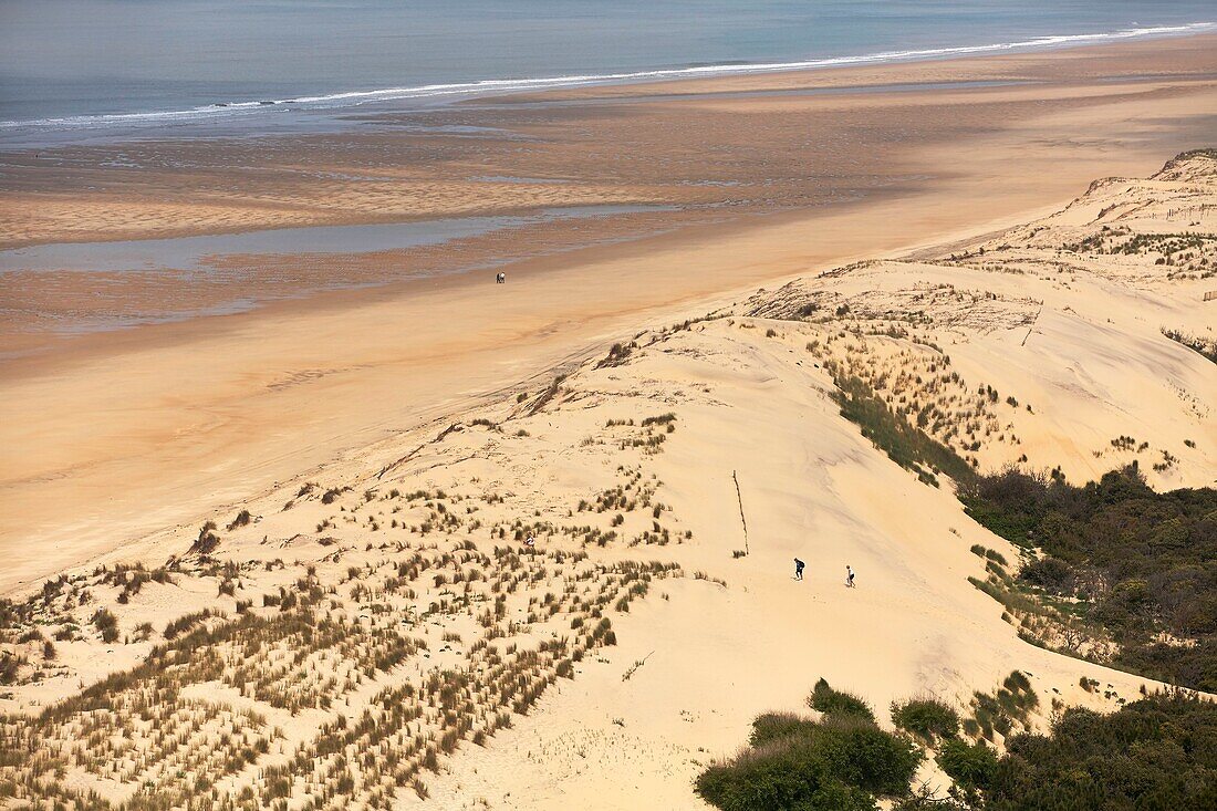 Frankreich, Charente Maritime, Pointe de la Coubre, La Tremblade, Bonne Anse Bay vom Leuchtturm La Coubre aus