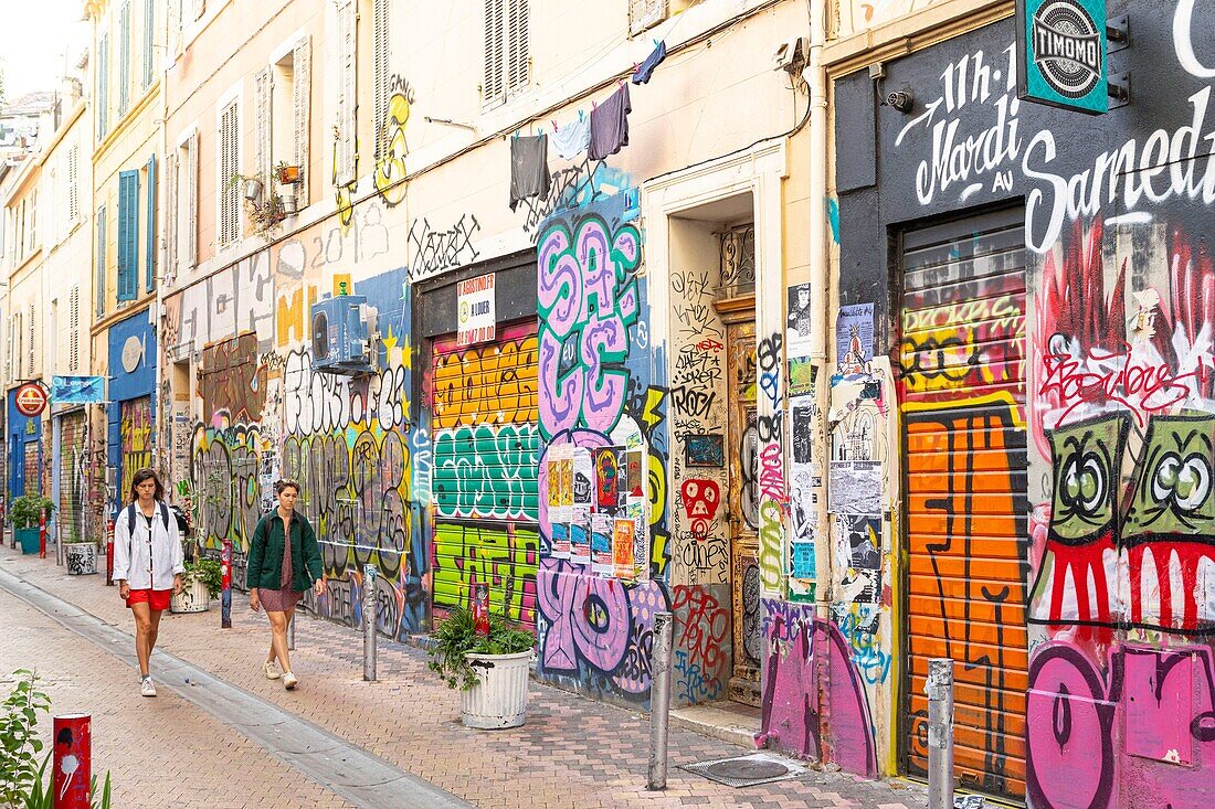 France, Bouches du Rhone, Marseille, Cours Julien, the street of Bussy the Indian, street art\n