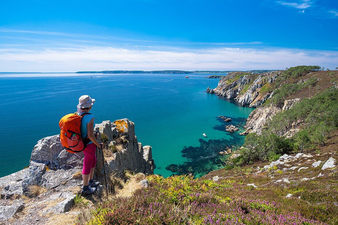 France, Finistere, Armorica Regional Natural Park, Crozon Peninsula, Telgruc-sur-Mer, Guern cliffs along the GR 34 hiking trail or customs trail\n