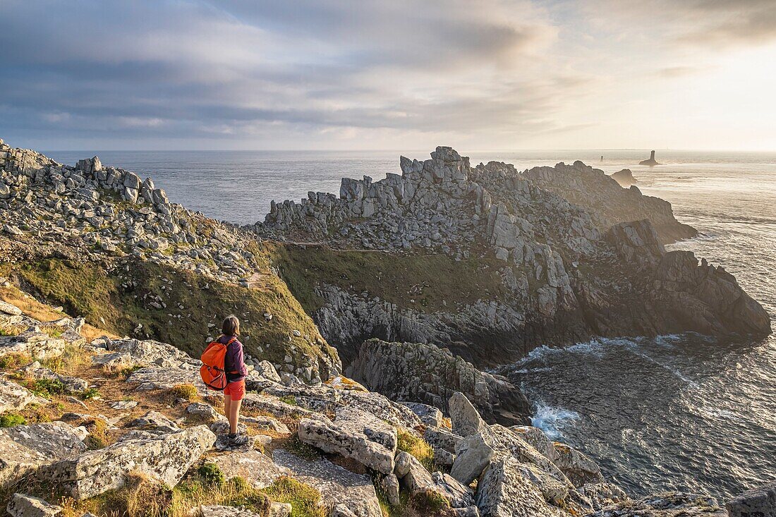 Frankreich, Finistere, Plogoff, Pointe du Raz, entlang des Wanderwegs GR 34 oder des Zollwegs