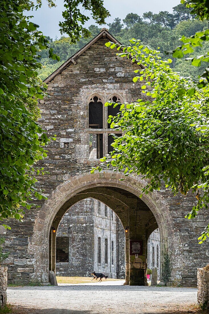 France, Cotes-d'Armor, Blavet valley, Saint-Gelven, Bon-Repos Cistercian Abbey\n