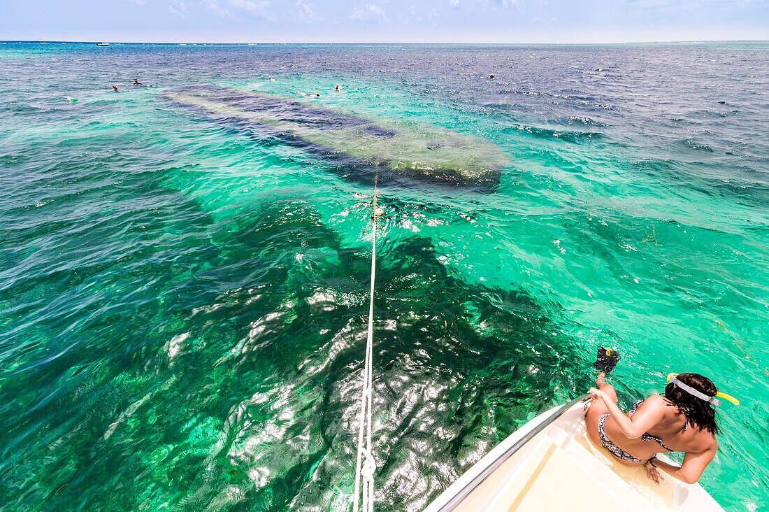 France, the Caribbean, the Lesser Antilles, Guadeloupe, Grand Cul-de-Sac Marin, the heart of the Guadeloupe National Park, snorkeling on a wreck colonized by corals\n