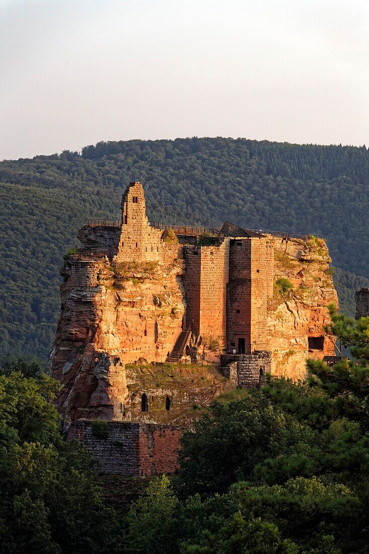 France, Bas Rhin, Parc Naturel Regional des Vosges du Nord (Northern Vosges Regional Natural Park, Lembach, Fleckenstein castle ruins dated 12th century\n