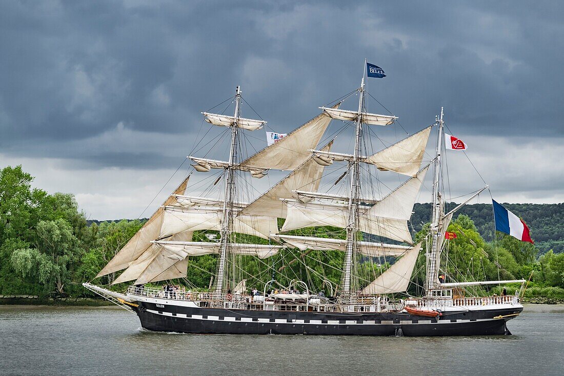 Frankreich, Seine Maritime, Armada von Rouen, die Armada von Rouen 2019 auf der Seine, die Belem, dreimastige französische Bark, denkmalgeschützt, Schulschiff