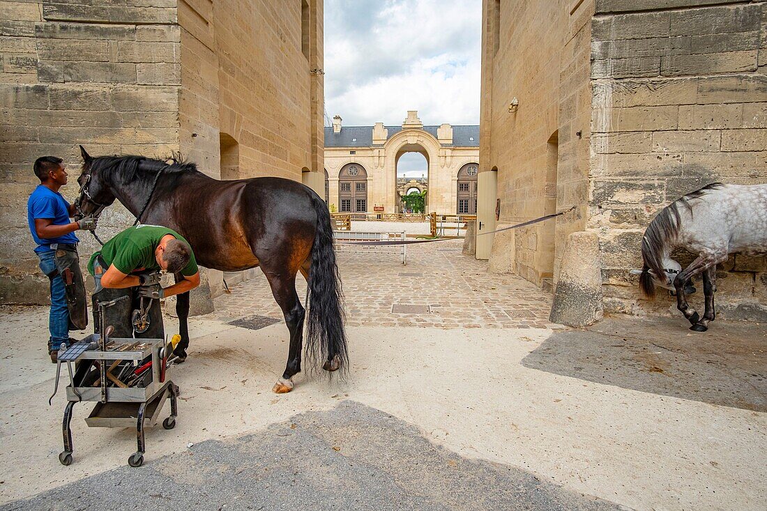 Frankreich, Oise, Chantilly, Schloss Chantilly, die großen Ställe, Roger Laville, Hufschmied, Wechsel der Pferdeeisen