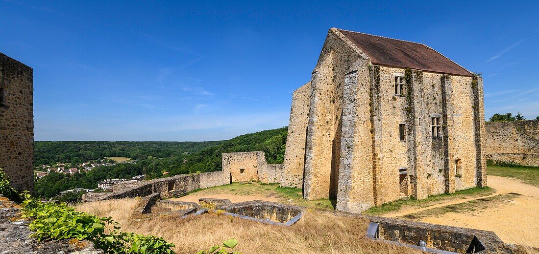 France, Yvelines, haute vallée de Chevreuse natural regional park, Chevreuse, Château de la Madeleine, dungeon\n