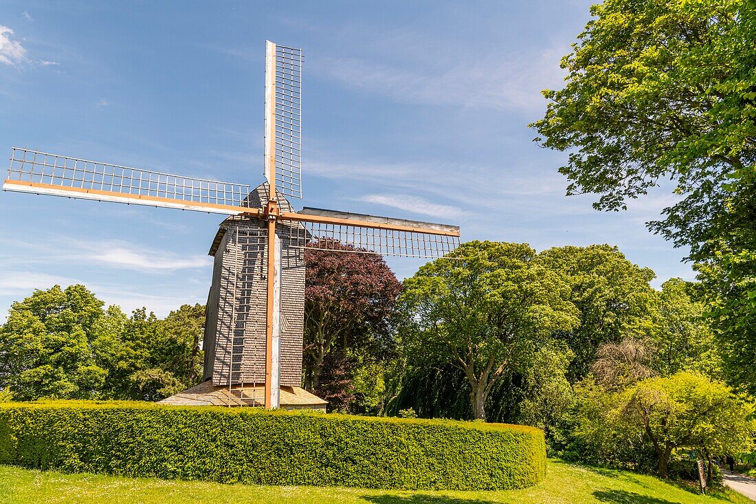 Frankreich, Norden (59), Cassel, französisches Lieblingsdorf im Jahr 2018, der Berg Cassel dominiert das Dorf mit seiner alten Holzmühle und einem schönen öffentlichen Garten