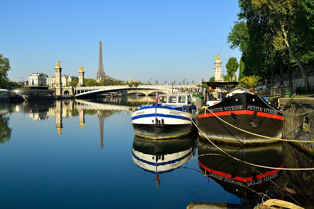 Frankreich, Paris, von der UNESCO zum Weltkulturerbe erklärtes Gebiet, im Hintergrund die Brücke Alexander III. und der Eiffelturm