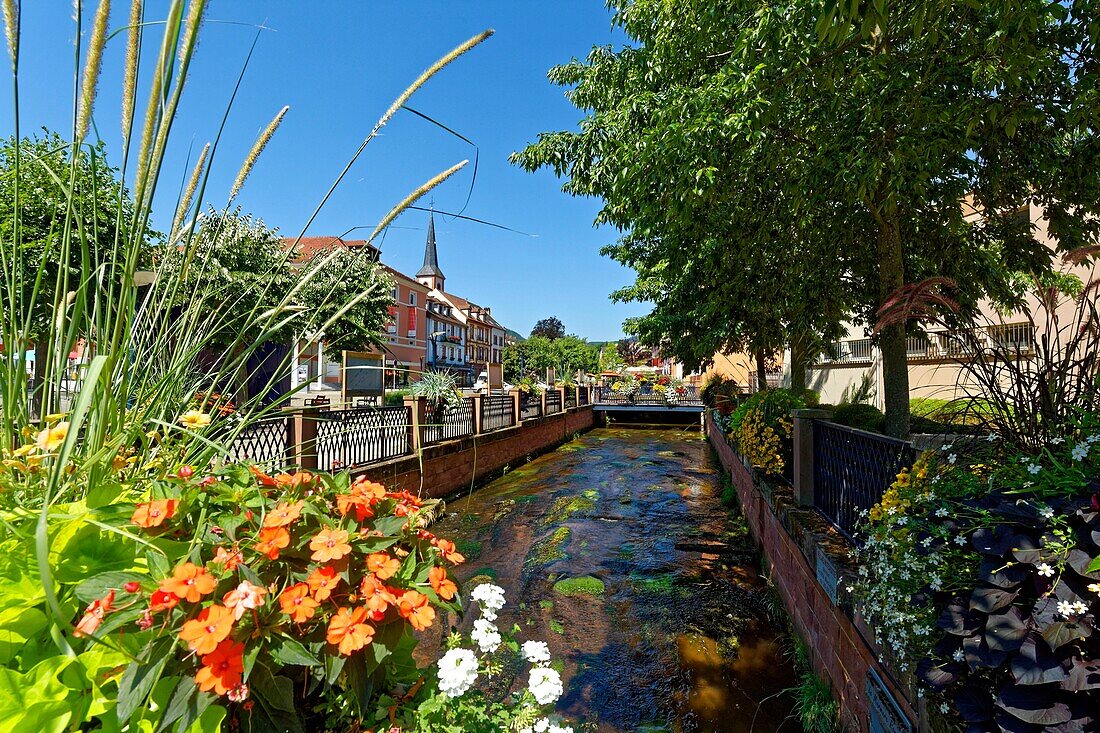 France, Bas Rhin, Niederbronn les Bains, Falkensteinerbach river and St Martin and St John churches\n