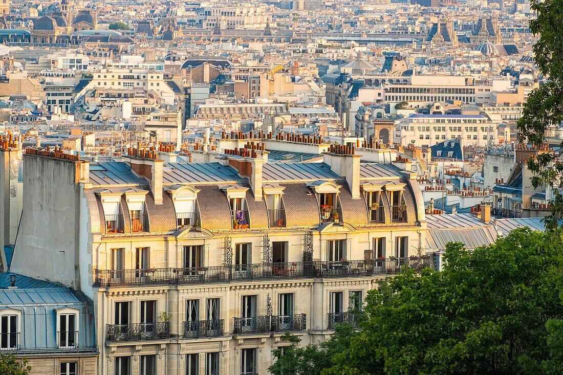 Frankreich, Paris, Blick über die Dächer von Paris en Zinc