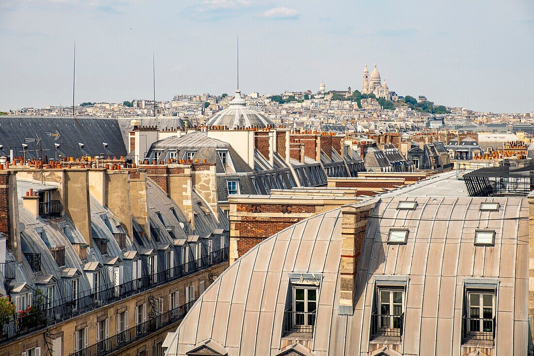 Frankreich, Paris, die Zinkdächer von Paris