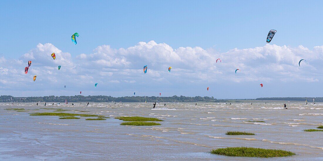 "Frankreich, Somme, Somme-Bucht, Le Crotoy, der Strand von Crotoy ist ein beliebtes Revier für Kite- und Windsurfer; nach einem Sturm, wenn die Sonne mit einem kräftigen Wind zurückkehrt, sind die Sportler zahlreich und ihre bunten Segel erhellen die Landschaft"