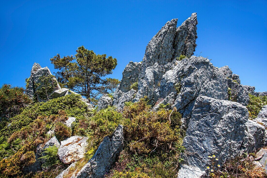 France, Finistere, Presqu'i?le de Crozon, the cove of the Virgin Island in Saint Hernot\n