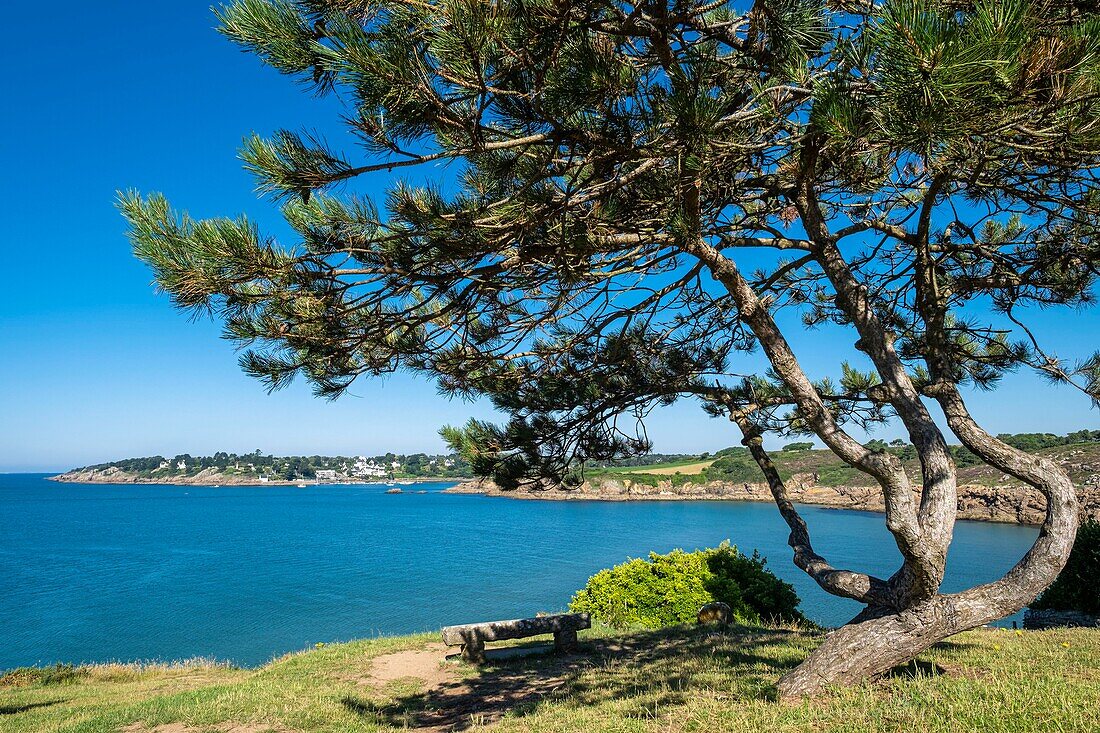 France, Finistere, Moelan-sur-Mer, Kerfany, mouth of Belon river\n