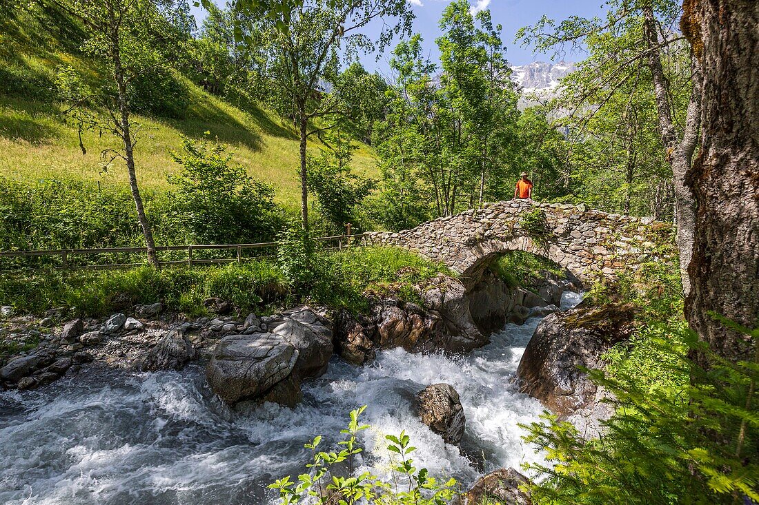 France, Hautes Alpes, Ecrins National Park, valley of Valgaudemar, La Chapelle en Valgaudemar, Les Portes, the Oulles du Diable gorges, the waters of the Navette torrent and the Gallo Roman bridge\n