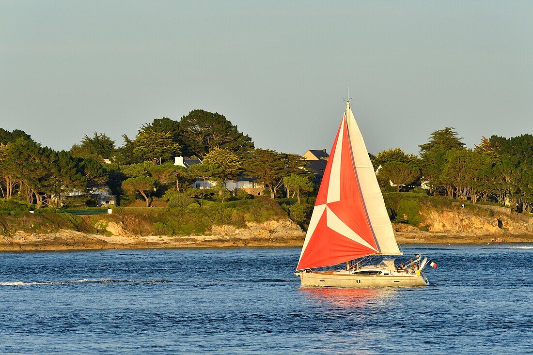 Frankreich, Morbihan, Golf von Morbihan, Regionaler Naturpark des Golfs von Morbihan, Bucht von Quiberon, Halbinsel Rhuys, Arzon, Port-Navalo